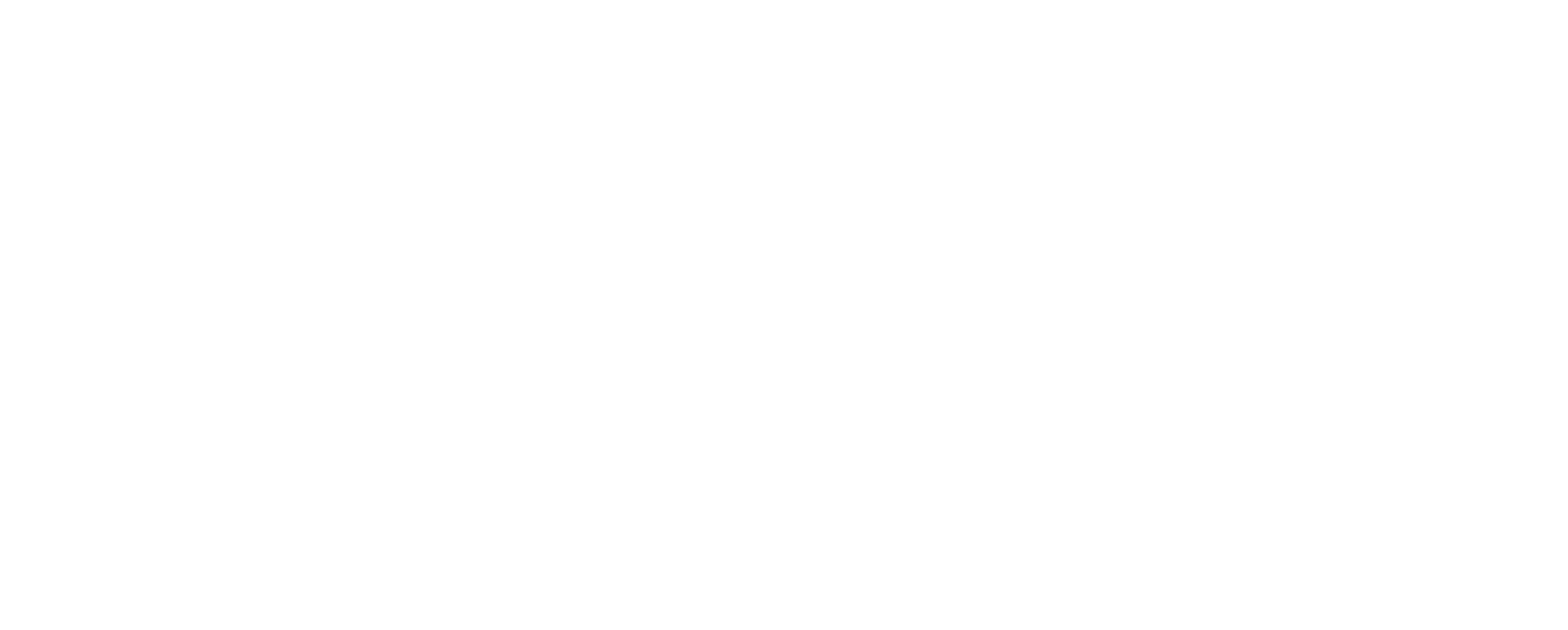 Liziqi Hosting – Găzduire Web, Domenii și Servere Fiabile în România